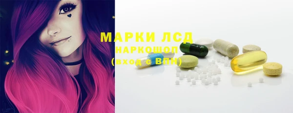 гидра Каменногорск